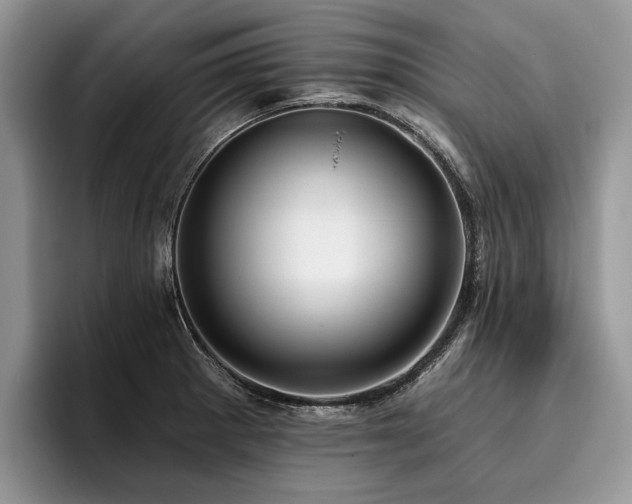X0000096211281200801181423