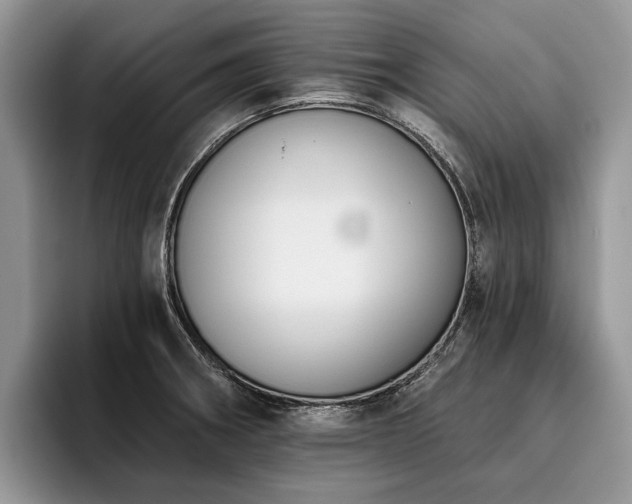 X0000096211282200801181423