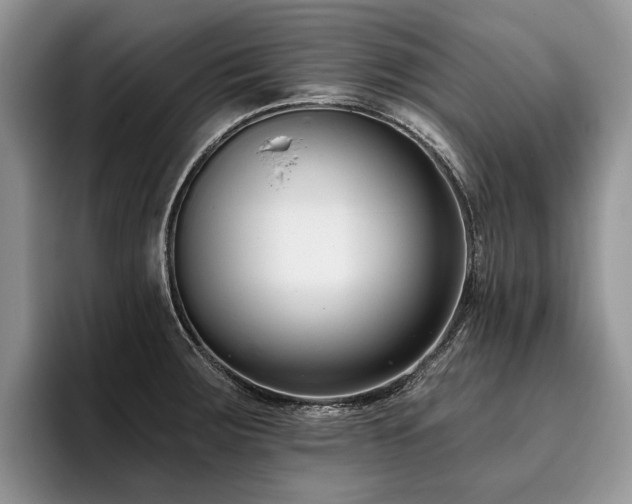 X0000096211283200801181423