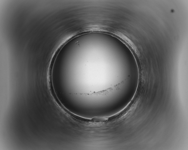 X0000096211285200801181423