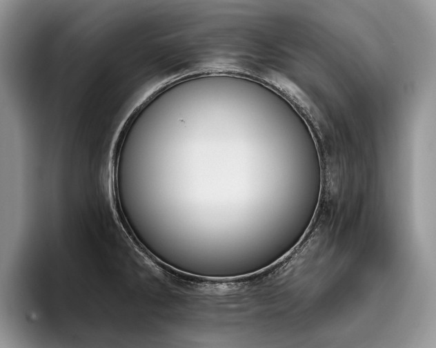 X0000096211286200801181423