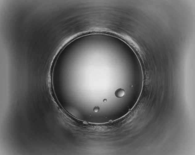 X0000096211287200801181423