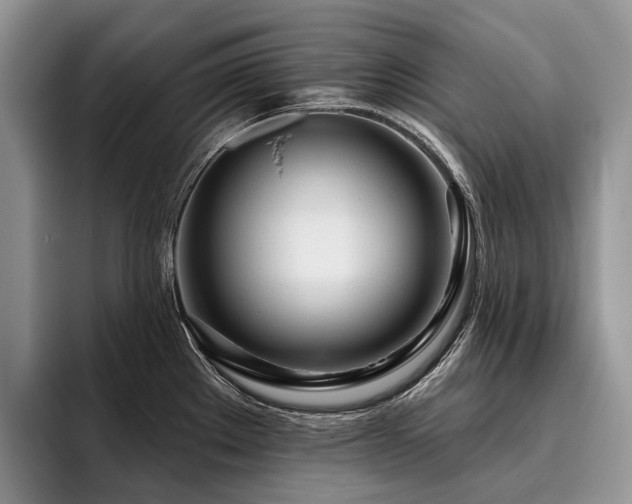 X0000096211289200801181423