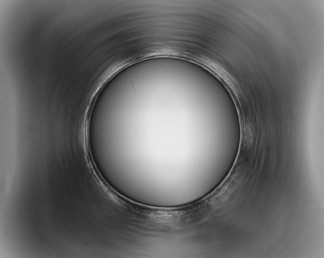 X0000096211290200801181423