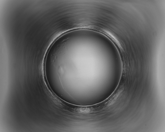 X0000096211291200801181423