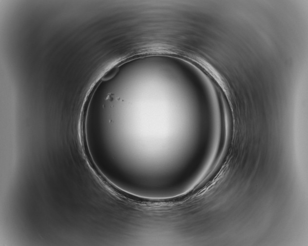 X0000096211293200801181423