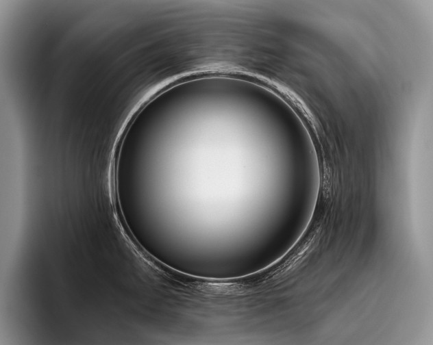 X0000096211295200801181423