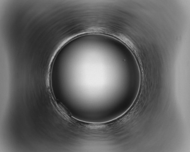 X0000096211296200801181423