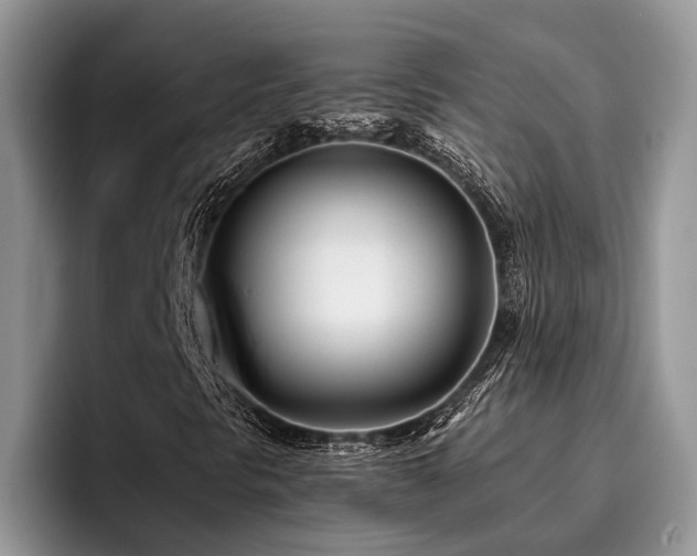 X0000096211297200801181422