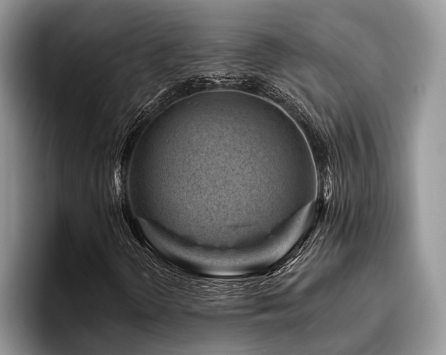 X0000096211298200801181422