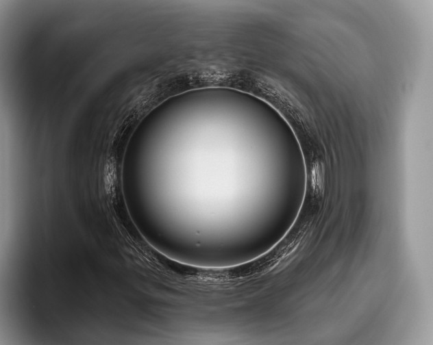 X0000096211299200801181422