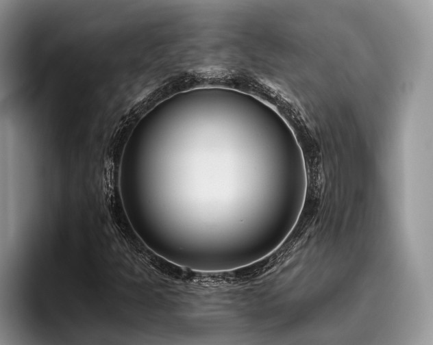 X0000096211301200801181422
