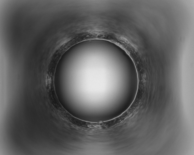 X0000096211302200801181422