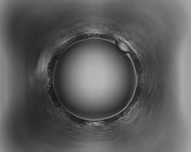 X0000096211303200801181422