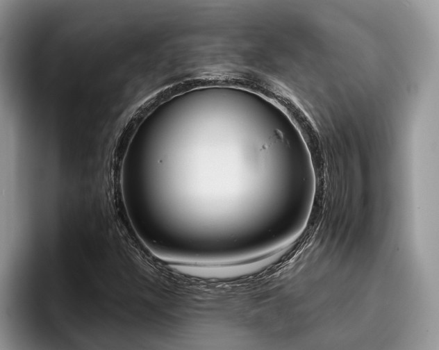 X0000096211304200801181422