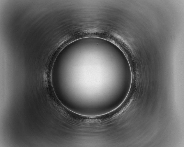 X0000096211305200801181422