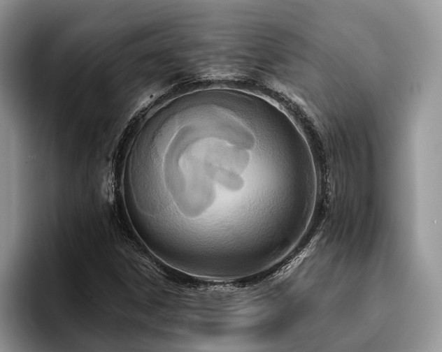 X0000096211306200801181422