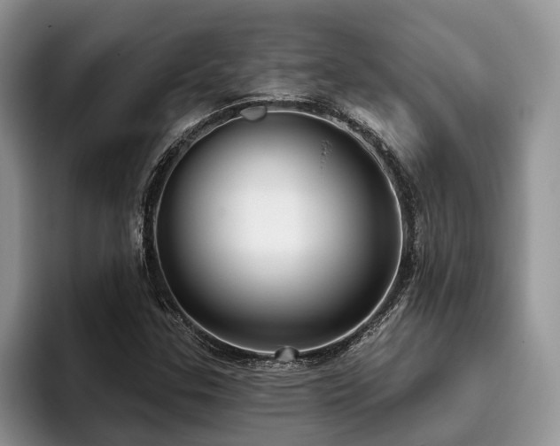 X0000096211307200801181422