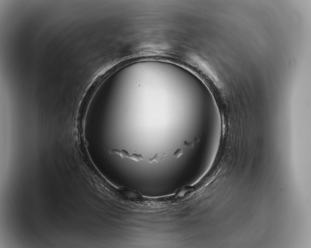 X0000096211308200801181422