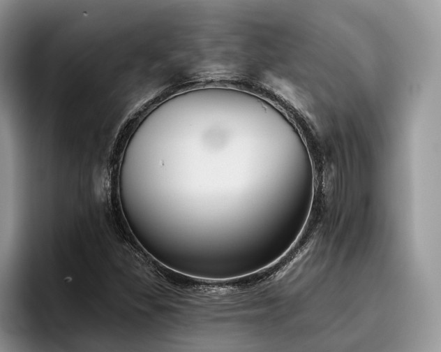 X0000096211309200801181422