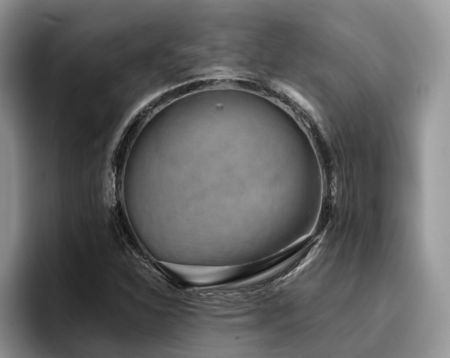 X0000096211310200801181422