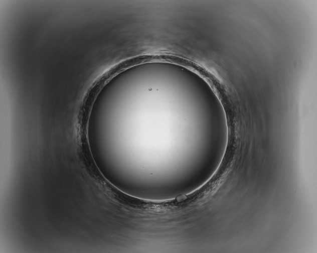 X0000096211311200801181422