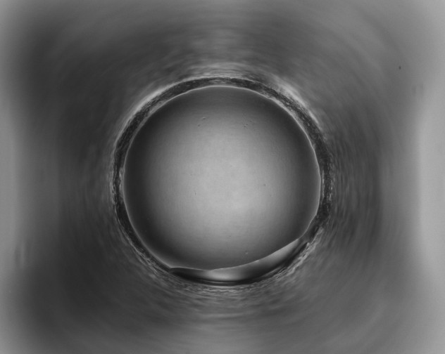 X0000096211312200801181422