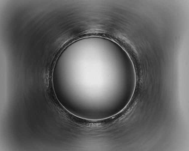 X0000096211313200801181422