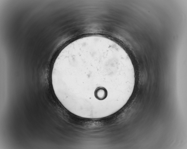 X0000096211314200801181422
