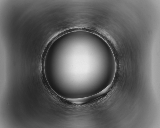 X0000096211316200801181422
