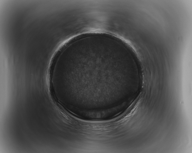 X0000096211319200801181422