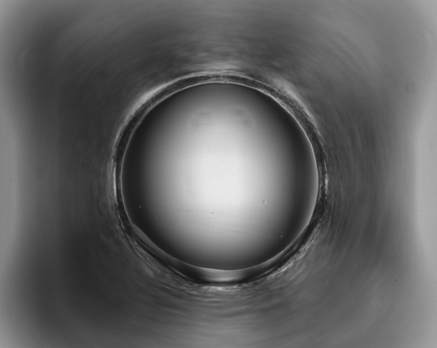 X0000096211320200801181422