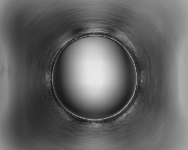 X0000096211321200801181422