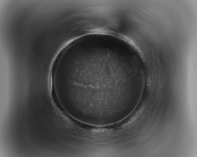 X0000096211323200801181422