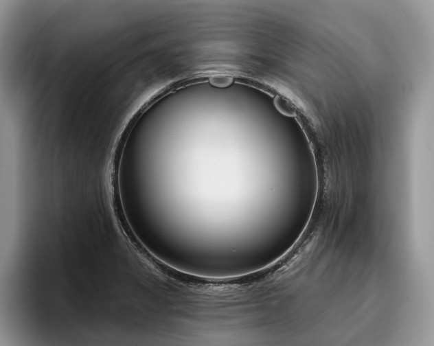 X0000096211325200801181422