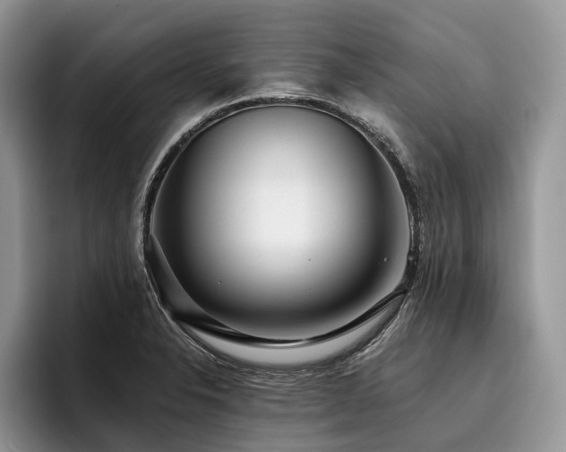 X0000096211326200801181422