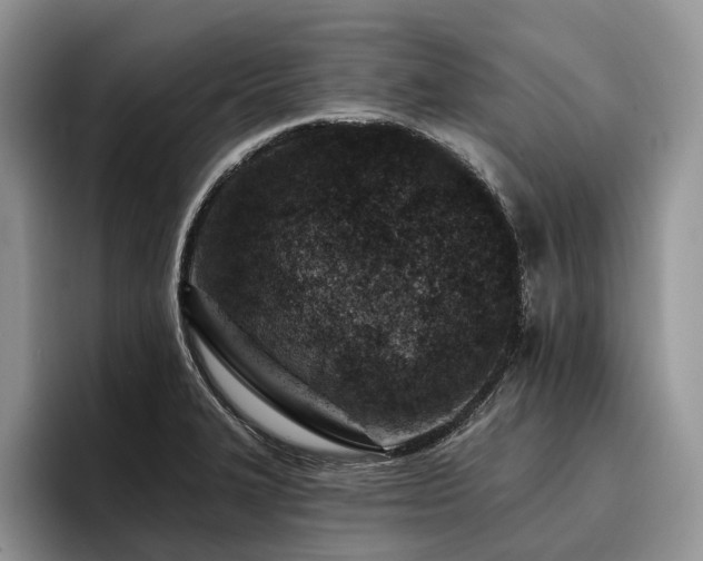 X0000096211327200801181422