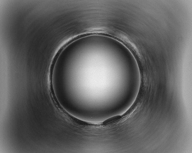 X0000096211328200801181422