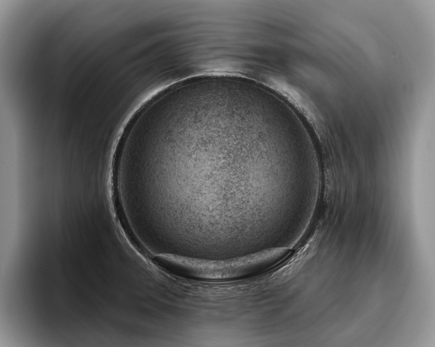 X0000096211331200801181422