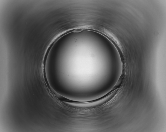 X0000096211332200801181422