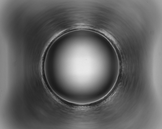 X0000096211333200801181422