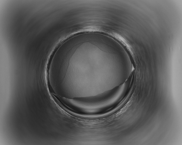 X0000096211334200801181422