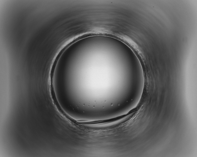 X0000096211335200801181423