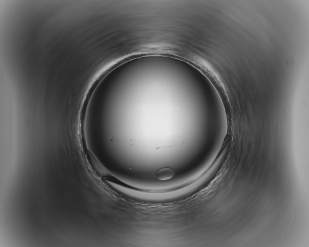 X0000096211336200801181423
