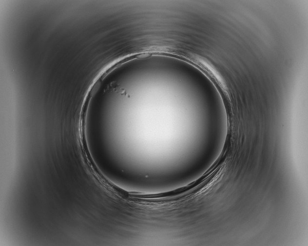 X0000096211340200801181423