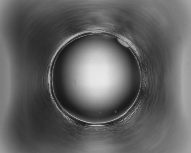 X0000096211343200801181423