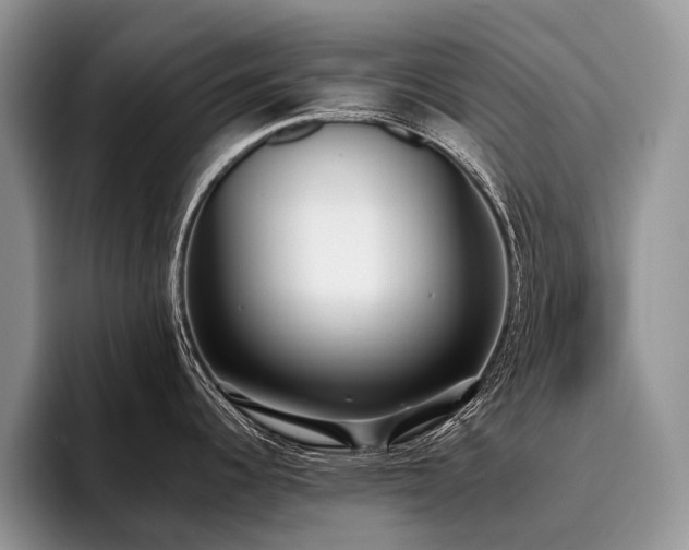 X0000096211344200801181423