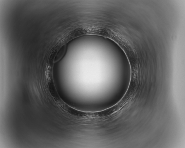 X0000096211346200801181422