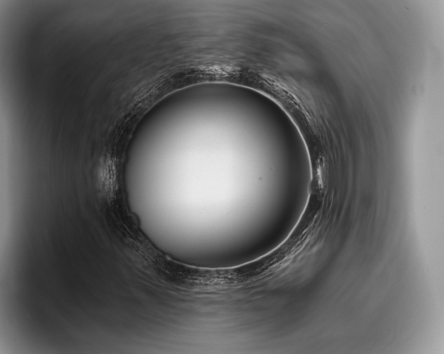 X0000096211347200801181422