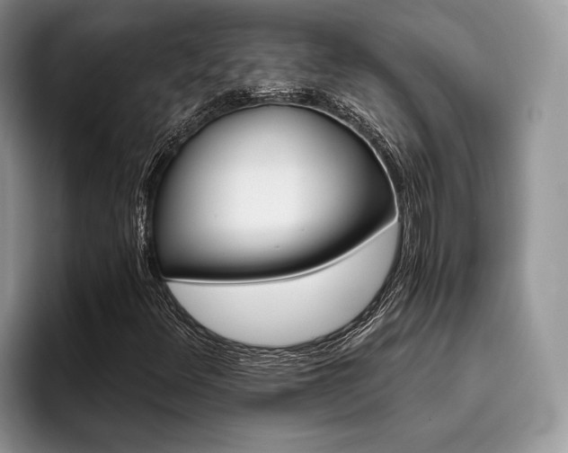 X0000096211348200801181422